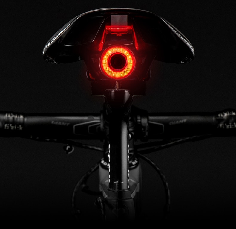 ROCKBROS Bicycle Smart Auto Brake Sensing Light IPx6 Waterproof LED Charging Cycling Taillight Bike Rear Light Accessories Q5